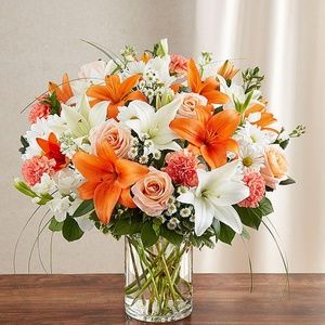 Meet your Posher, Virginia